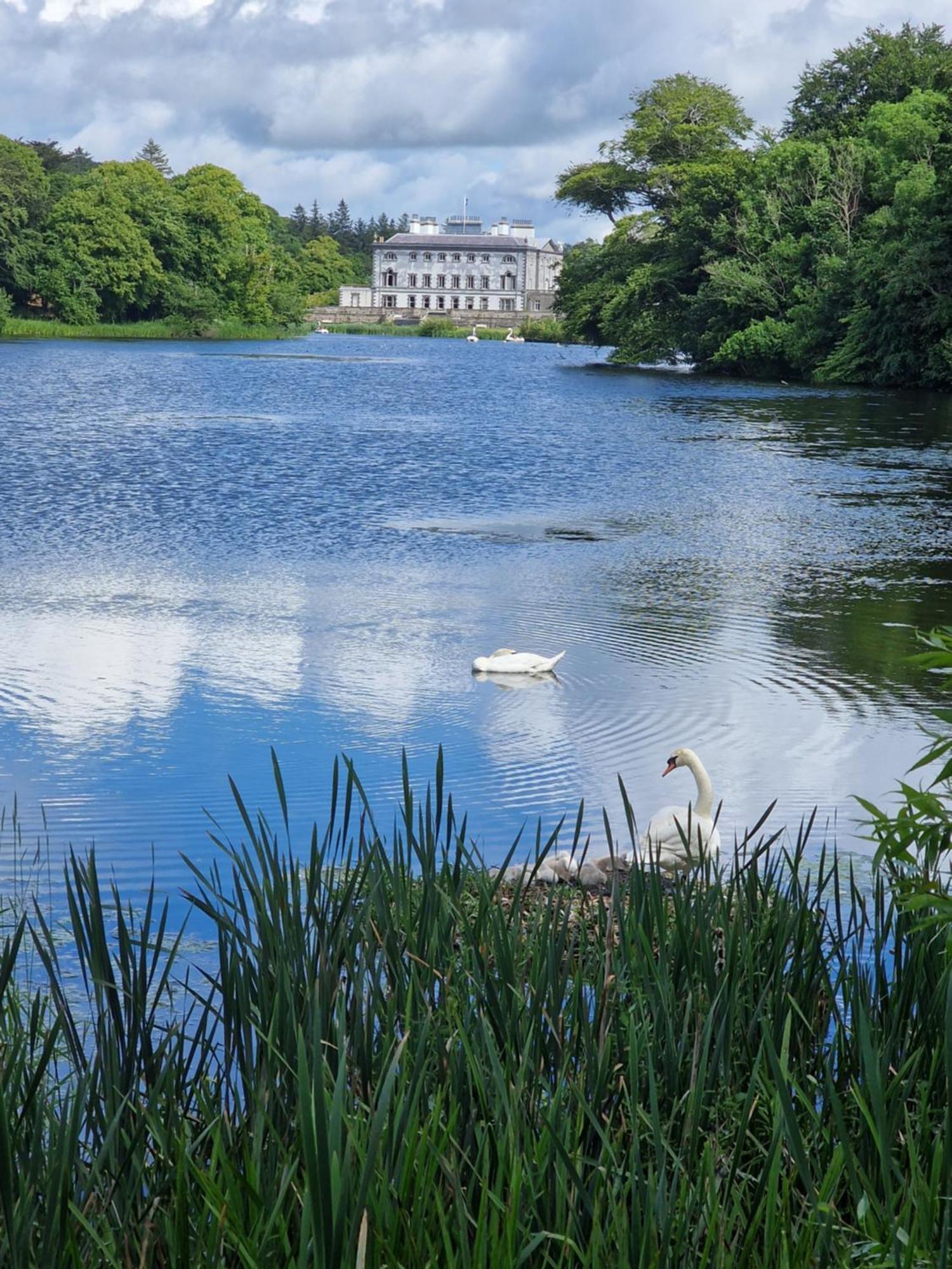 Greenside B&B Westport Luaran gambar