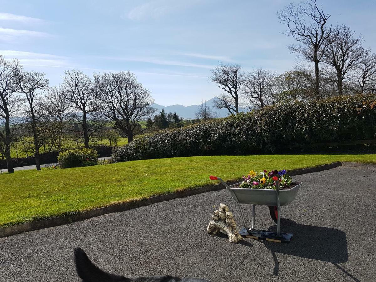Greenside B&B Westport Luaran gambar